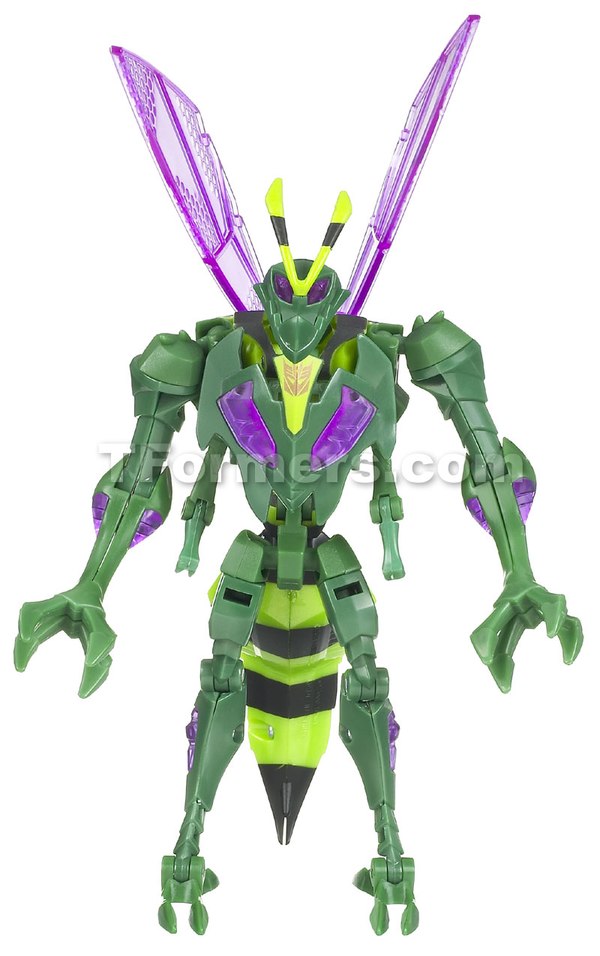 Transformers Animated Waspinator  (4 of 6)